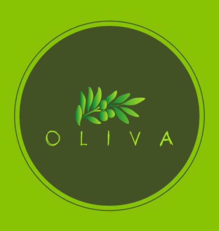 Villa Oliva Makarska Ngoại thất bức ảnh